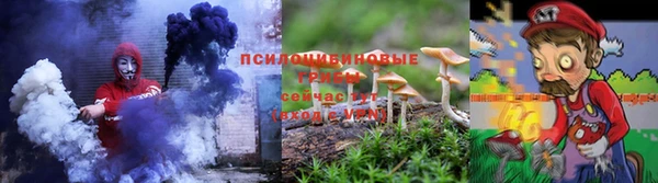 прущая мука Каменка