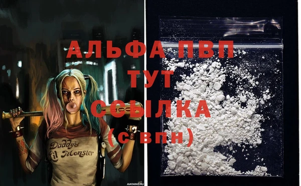 ECSTASY Инта