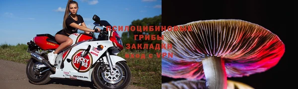 прущая мука Каменка