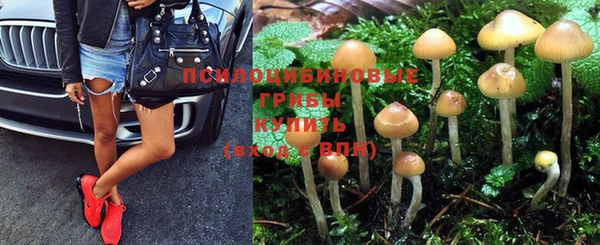 винт Каменск-Шахтинский