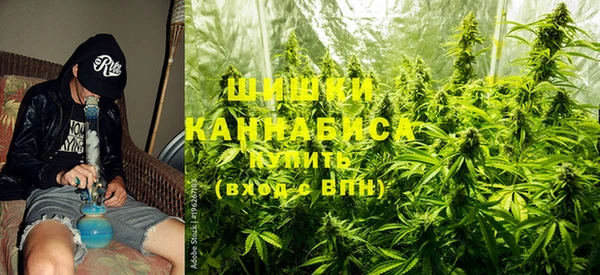 прущая мука Каменка