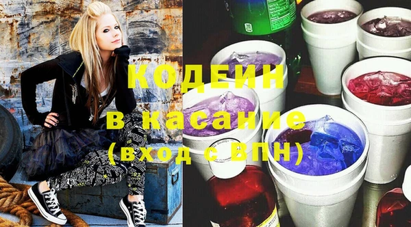 ГАЛЛЮЦИНОГЕННЫЕ ГРИБЫ Инсар