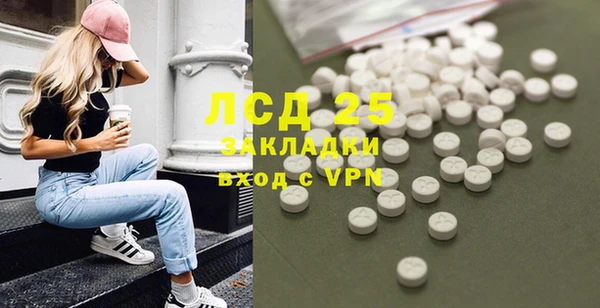 ГАЛЛЮЦИНОГЕННЫЕ ГРИБЫ Инсар