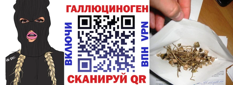 Галлюциногенные грибы мицелий  Исилькуль 